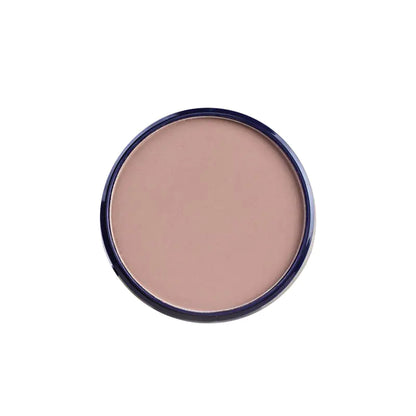Professional Multi-Function Blush and Highlight Palette