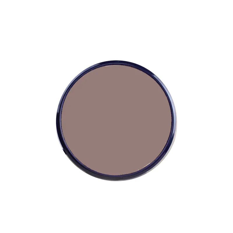 Professional Multi-Function Blush and Highlight Palette